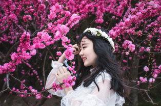 花吃了那女孩电影背景,穿越时空的奇幻爱情之旅