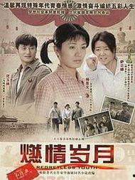 我的燃情岁月演员表,重温经典，重温那些激情燃烧的岁月